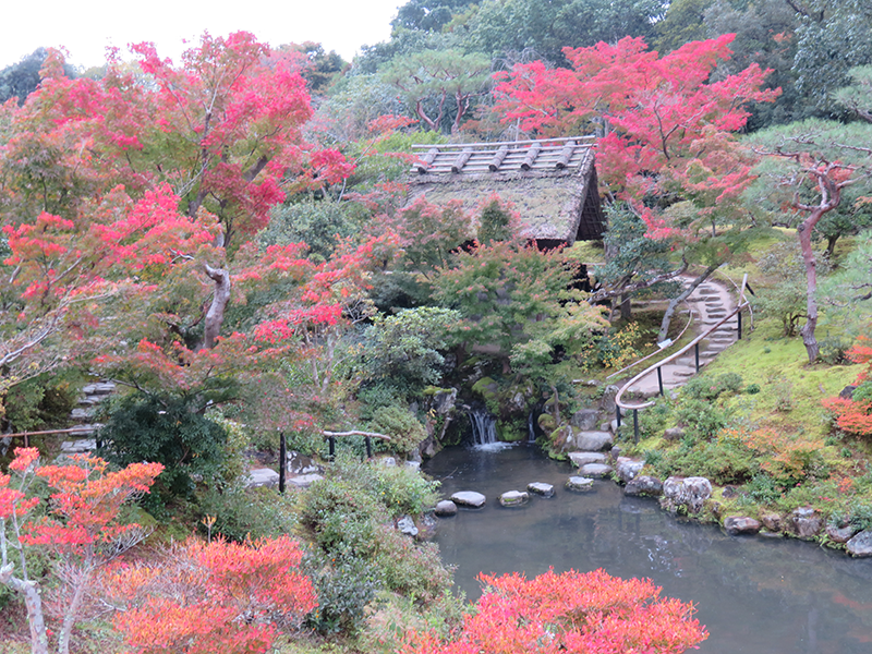 依水園