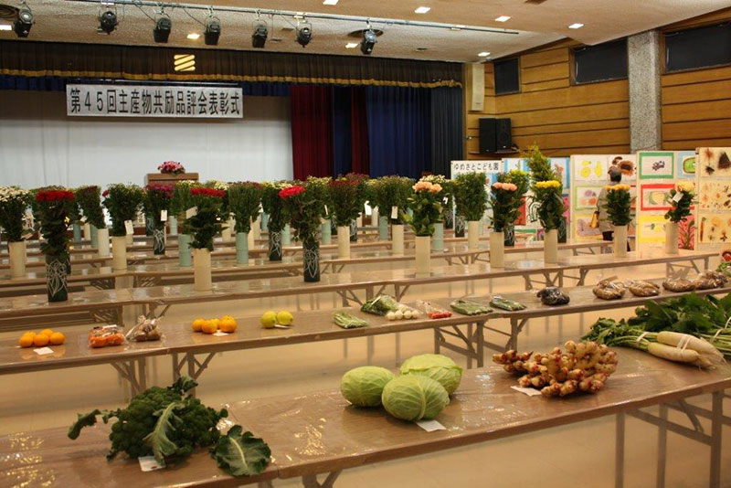 食と芸術文化のつどい 奈良県大芸術祭 奈良県障害者大芸術祭